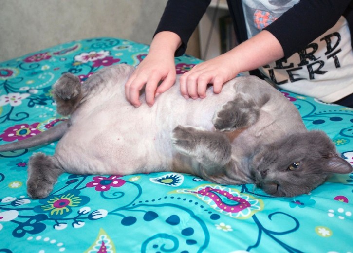 32fa42ddf982bd9eb528e4721f07c370