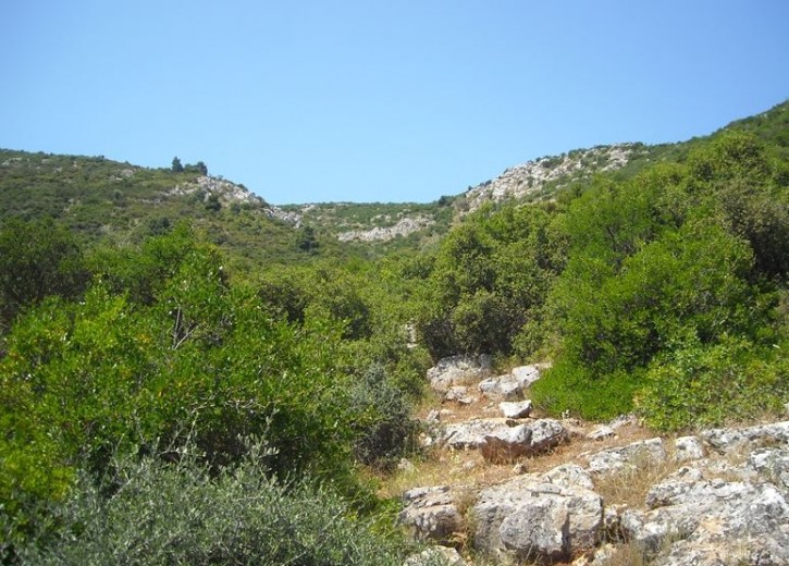 b5f609405fd665becfae02061ce47f14