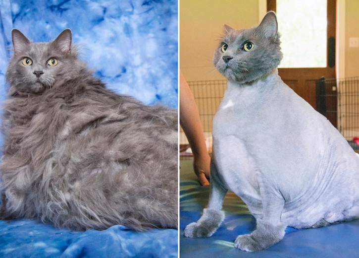 ce5ef33ebed182aaee2da7c954ca02a3