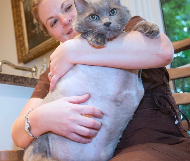 dee6337bfc4d1b2b34d0fb28adc1bab3