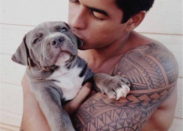 21205460_10hotdudedogs.limghandler