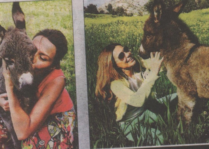 a057ee48764a02734602d32497574abe