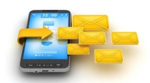 minimata-kane-oti-sou-kanoun