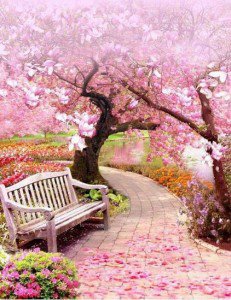 park bench