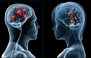 hormones and brain chemicals
