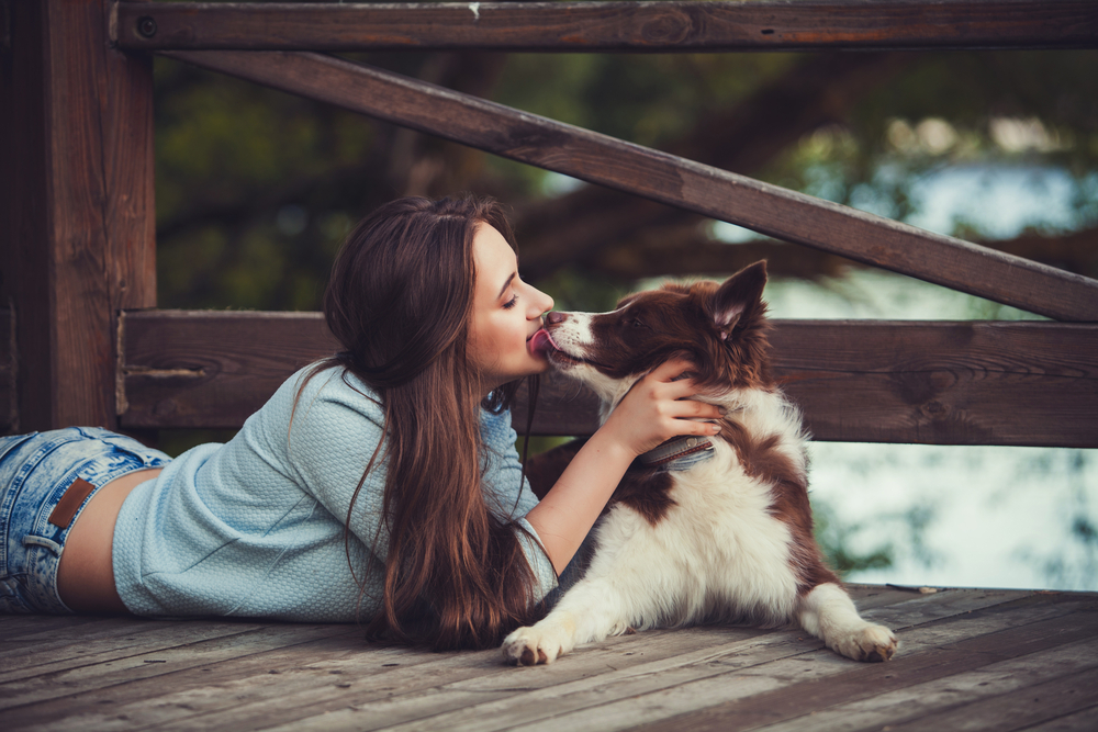 shutterstock_458161141
