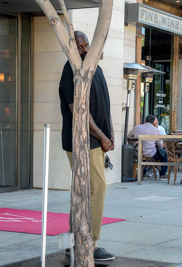 funny-celebrity-reactions-to-paparazzi-167-58627f0fe6dd0__605