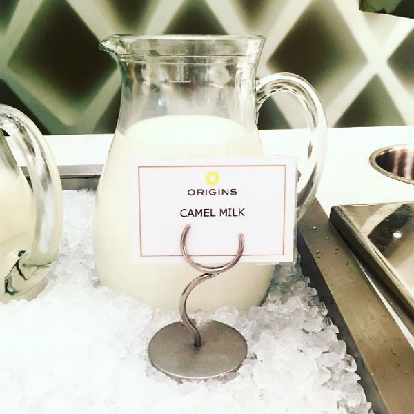 camel-milk2