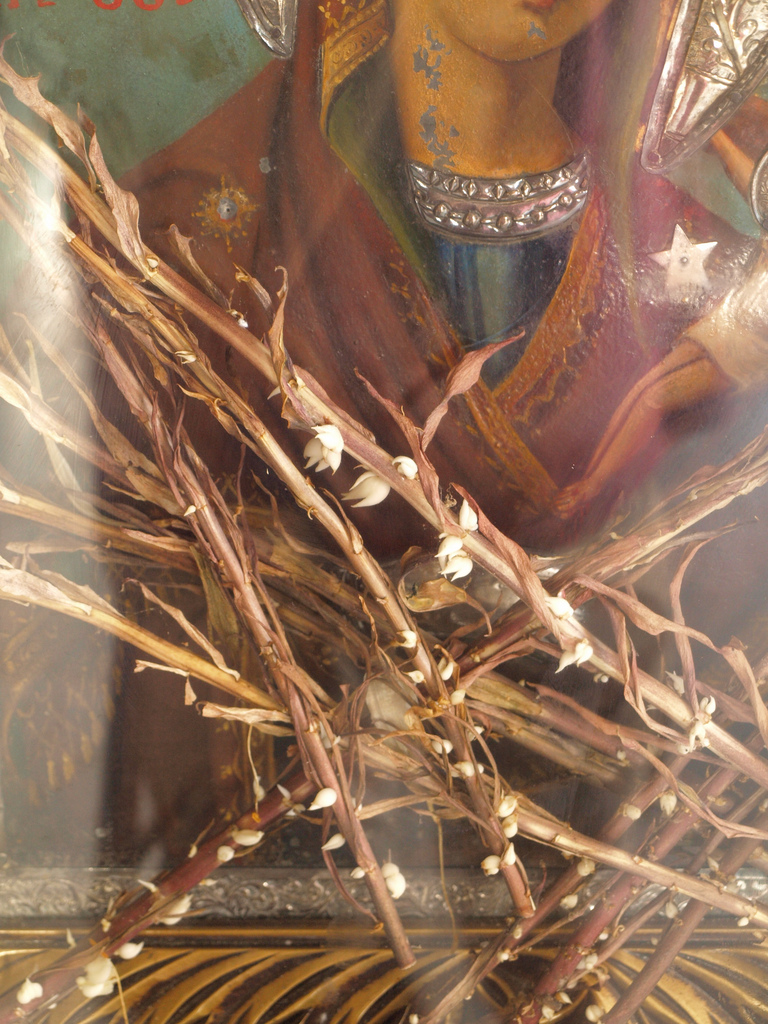 panagia_xarou_06