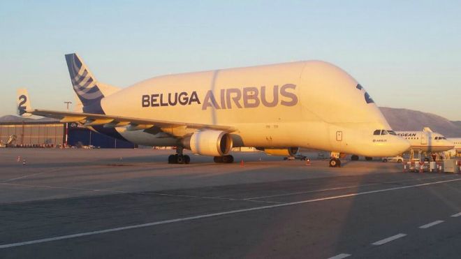 beluga+airbus+2