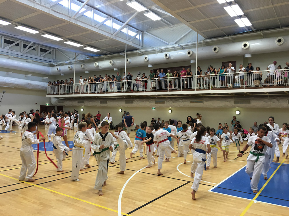 TaeKwonDo_by Vangelis Patsialos