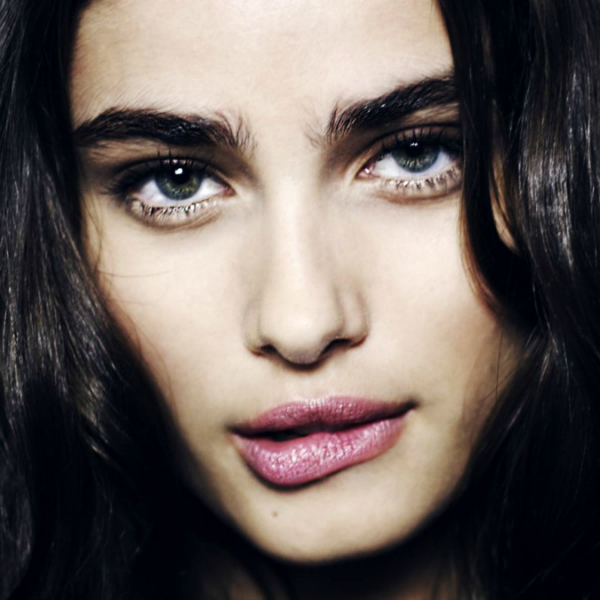 taylor hill brows