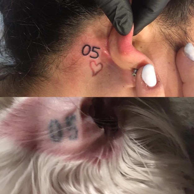 toby tattoo
